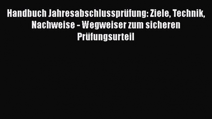 Handbuch Jahresabschlussprüfung: Ziele Technik Nachweise - Wegweiser zum sicheren Prüfungsurteil