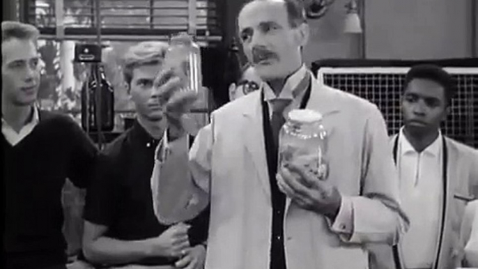 The Many Loves of Dobie Gillis Season 4 Episode 12 Dr Jekyll and Mr Gillis