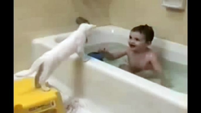 Cat just don't want to bathe - Funny cat bathing #22