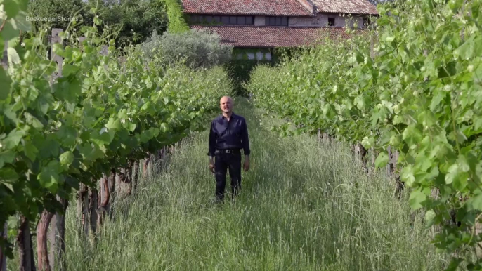 Music and wine, Lake Garda, Italy. Luca Formentini. Documentary