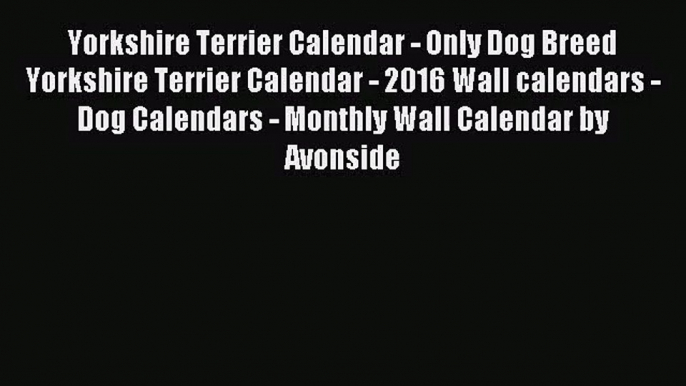 [PDF Download] Yorkshire Terrier Calendar - Only Dog Breed Yorkshire Terrier Calendar - 2016