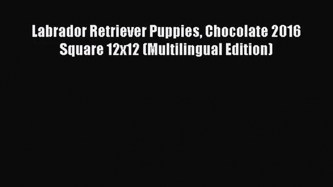 PDF Download - Labrador Retriever Puppies Chocolate 2016 Square 12x12 (Multilingual Edition)