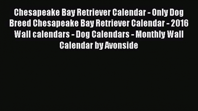 [PDF Download] Chesapeake Bay Retriever Calendar - Only Dog Breed Chesapeake Bay Retriever