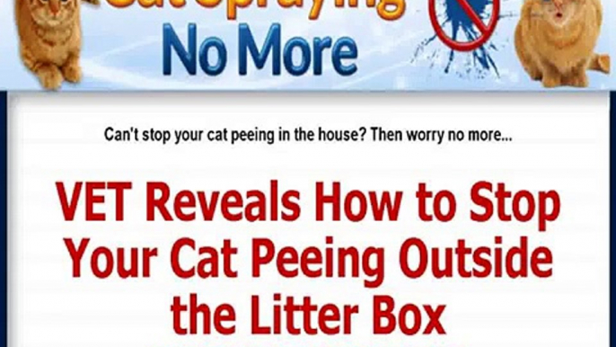 Cat Spraying No More