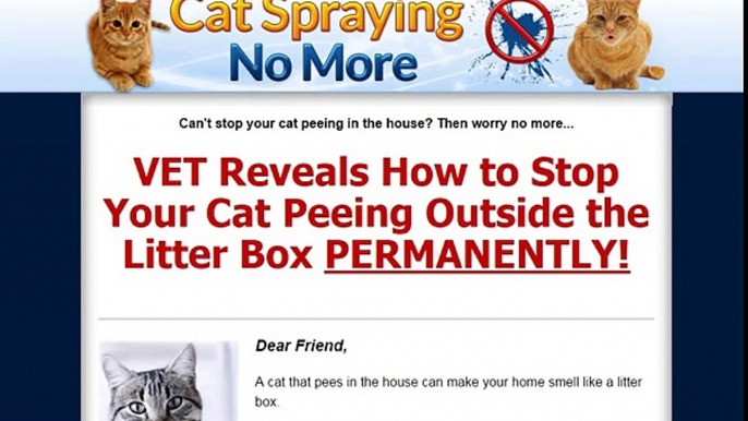 Cat Spraying No More - How to Stop Cats From Urinating Outside the Litterbox!