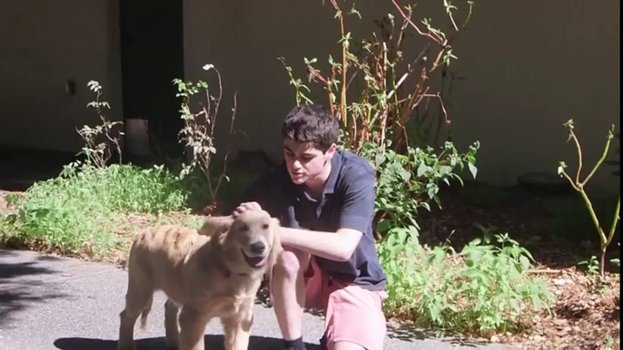 12th Grader Picks Up 24 Year Olds With Puppy Prank