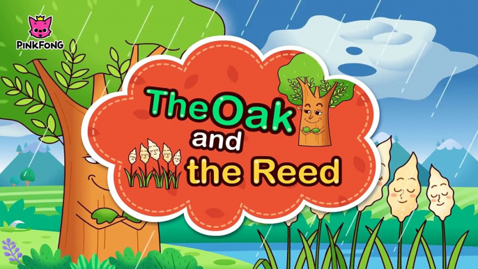 The Oak and the Reed | Aesops Fables | PINKFONG Story Time for Children