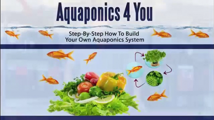 How to build an aquaponics system? aquaponics 4 you system