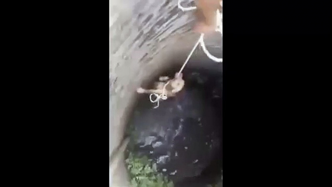 The rescue of a well