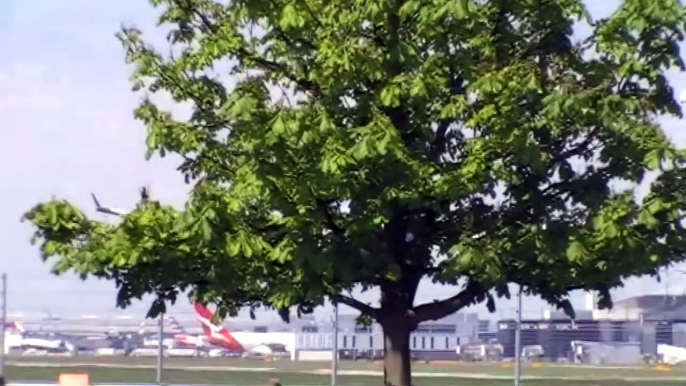 Plane Spotting At London Heathrow Airport Part 1 On The 31/05/2014