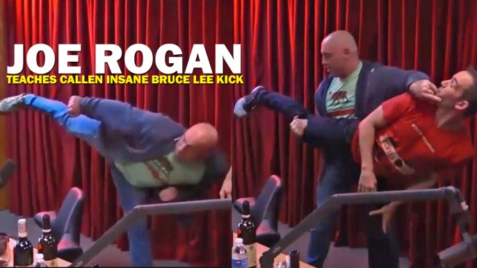 Joe Rogan teaches Bryan Callen how to throw a proper side kick