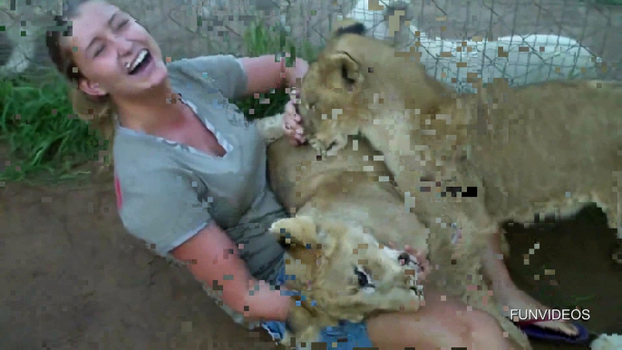 Chica Joven juega con leones