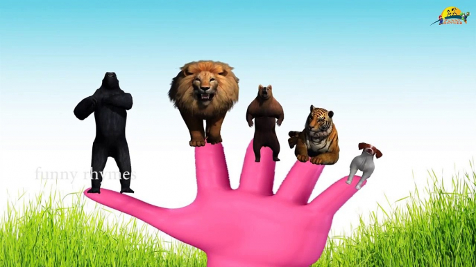 Tiger Finger Family Nursery Children 3d English Rhymes | Animated Finger kids songs