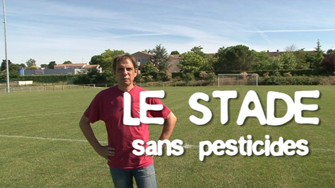 Le stade sans pesticides : trucs & astuces des communes engagées dans la démarche Terre Saine communes sans pesticides