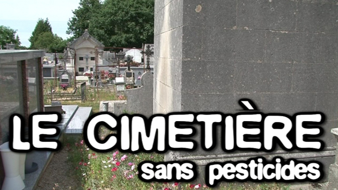 Le cimetière sans pesticides : trucs & astuces des communes engagées dans la démarche Terre Saine communes sans pesticides