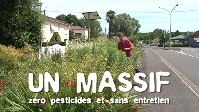 Les massifs sans pesticides et sans entretien : trucs & astuces des communes engagées dans la démarche Terre Saine communes sans pesticides