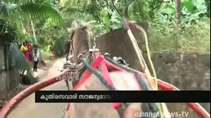 Free training for horse riding in Tirur Malappuram