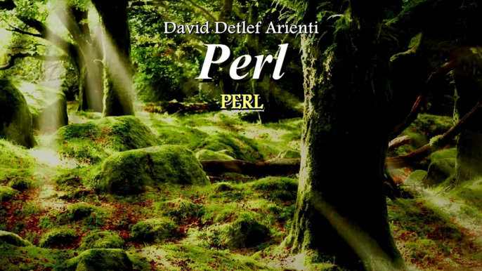 Davide Detlef Arienti - Perl - Perl (Epic Intense Orchestral Beautiful Choir Emotional 2015)