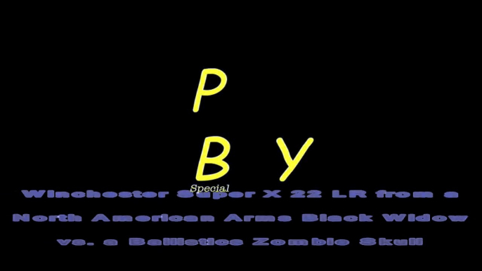 Trailer - Winchester Super X 22 LR vs. Penetrates Skull