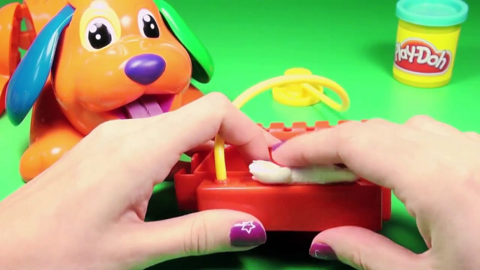 Play-Doh Doggy Doctor Puppy Playset Play Doctor with Puppies Play Dough by Unboxingsurpris