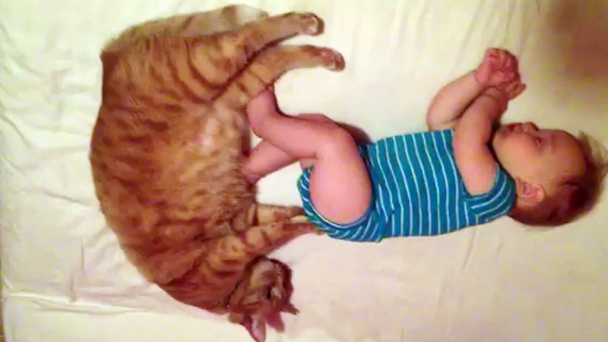 Kedi bebeğe masaj yapıyor :) - Little Baby And Fat Cat Massage Each Other