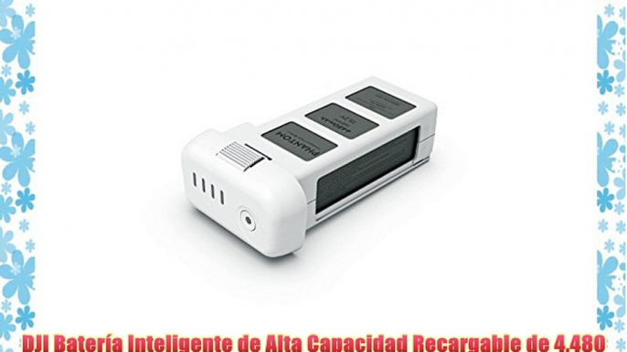 DJI Batería Inteligente de Alta Capacidad Recargable de 4480 mAh Compatible con DJI Phantom