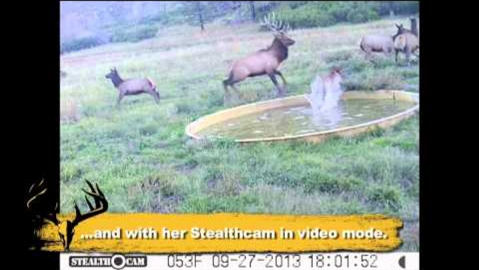 Easton Bowhunting TV - Momma Knows Best