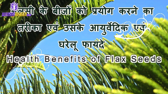 Alsi seeds benefits in hindi ke fayde flax seed powder flaxseed what is alsi flax seed