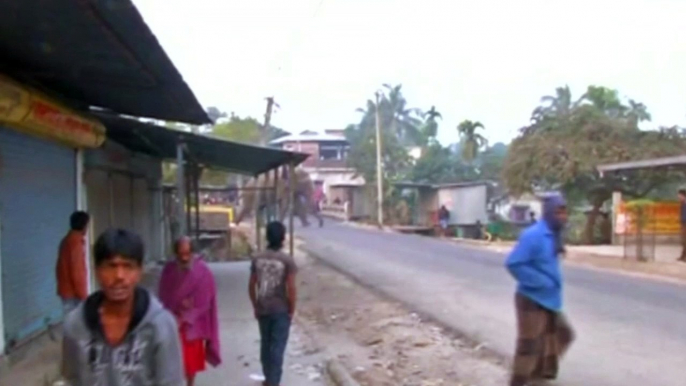 A wild elephant stomps his way through a village in India