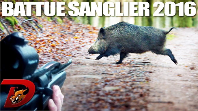 Chasse saison 2016 : Battue Sangliers