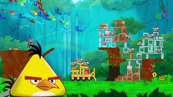 Angry Birds Finger Family Children | Nursery Rhymes Dancing | Finger Family HD