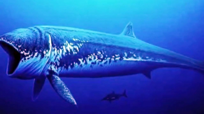 Worlds 10 Biggest Animals of All Time