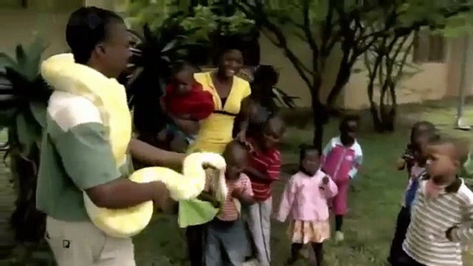 The Deadly BLACK MAMBA Snake - Africas Most Dangerous Snakes [Nature Wildlife Documentary]