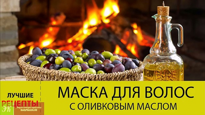 Маска для волос с оливковым маслом. Рецепты ЛУЧШИХ оливковых масок для волос