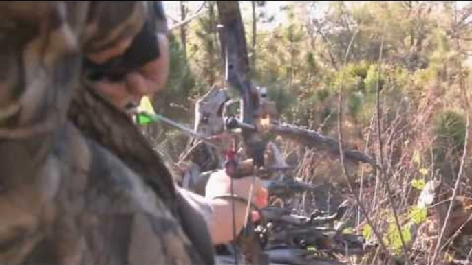 Hunting Wild Hogs with Bow in Florida