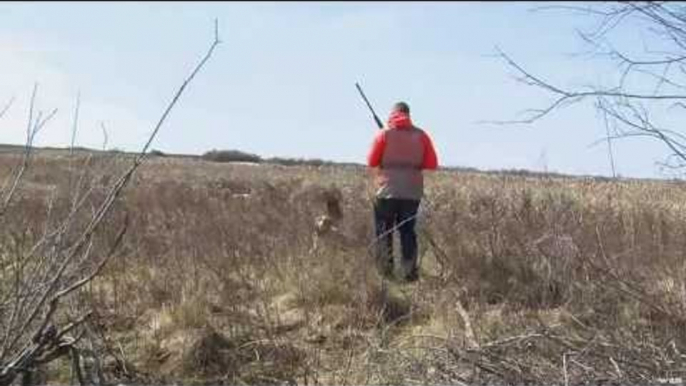 Pheasant Hunting Tradition with The Real Canadian Joes