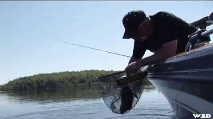 Fishing for Smallmouth Bass with Leeches