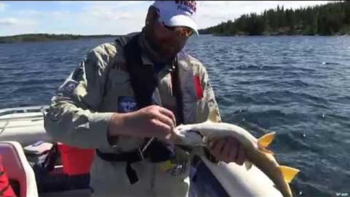 Fishing for Lake Trout at Namushka Lodge