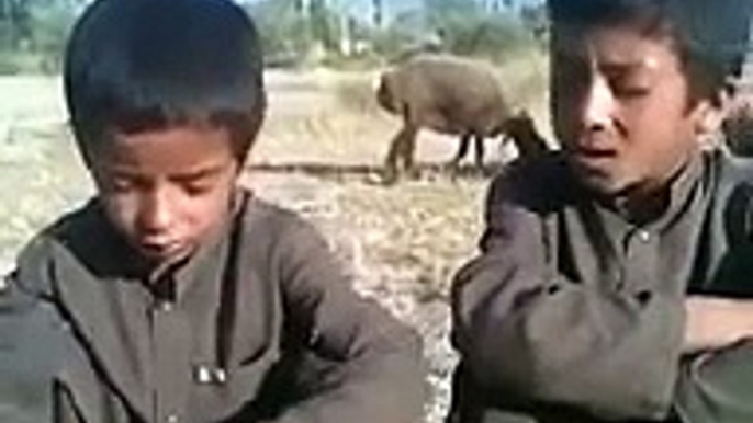 Da mashom na pashto naat wawray - peshawar pathan kid