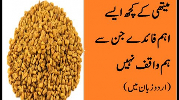 Benefits and uses of Methi Fenugreek Seeds in urdu