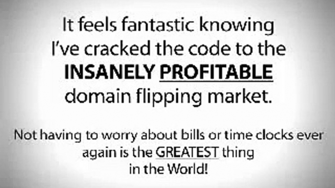 Domainer Elite Flipping Domain Names Software Jamie Lewis