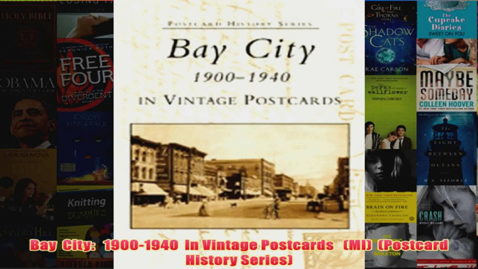 Download PDF  Bay  City   19001940  In Vintage Postcards   MI  Postcard History Series FULL FREE