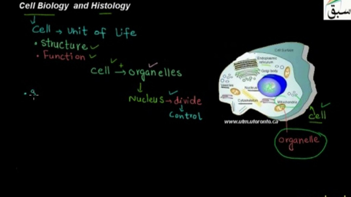 Biology Class 9Th, Chapter Number 4, Lecture 4:Histology Cell biology Elearning.pk