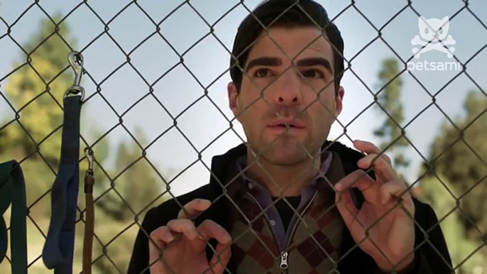 Petsami Presents   Dog Eat Dog  starring Zachary Quinto