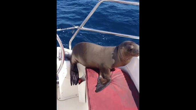 A couple saw something in the water. As they filmed, they saw something that one sees just once in a lifetime.