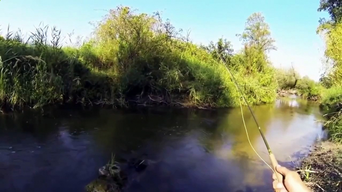 Great fly fishing on  the lure bait tackle "nymph". Catching small river trout.