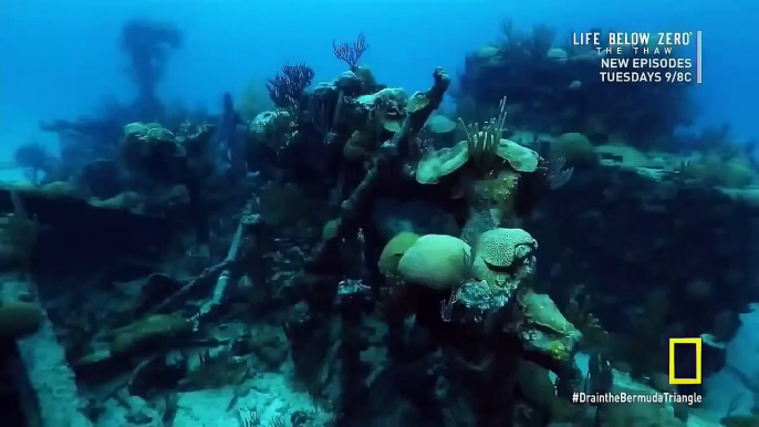 Discovery Channel 2015 | National Geographic 2015 Documentary Drain the Bermuda Triangle