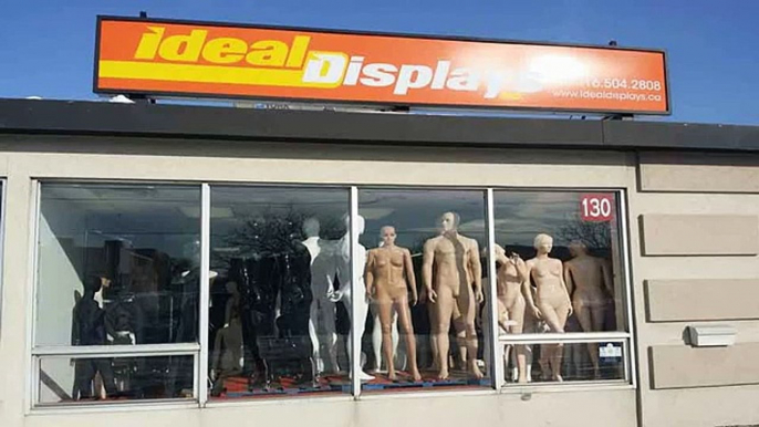 Standard Mannequins and Display Items