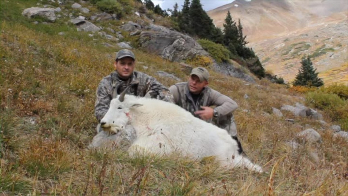 Mountain Goat With a Sharps Rifle