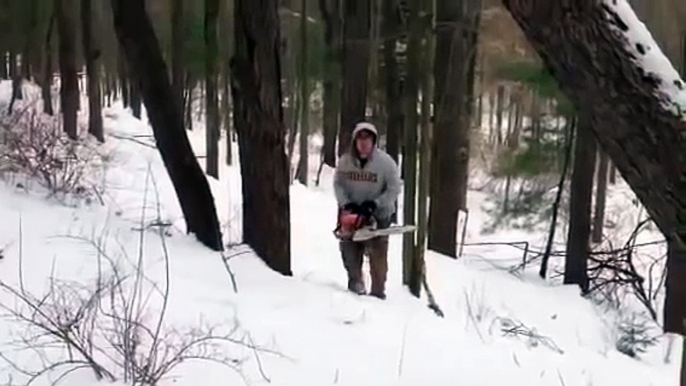 Chainsaw Fail! Remember Not to Stand Under the Tree You Are Cutting Down!